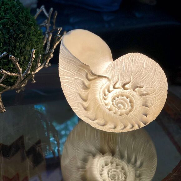 White Sandstone Finish Frilled Nautilus Shell Accent Lamp 10 Inches High - Picture 4 of 6